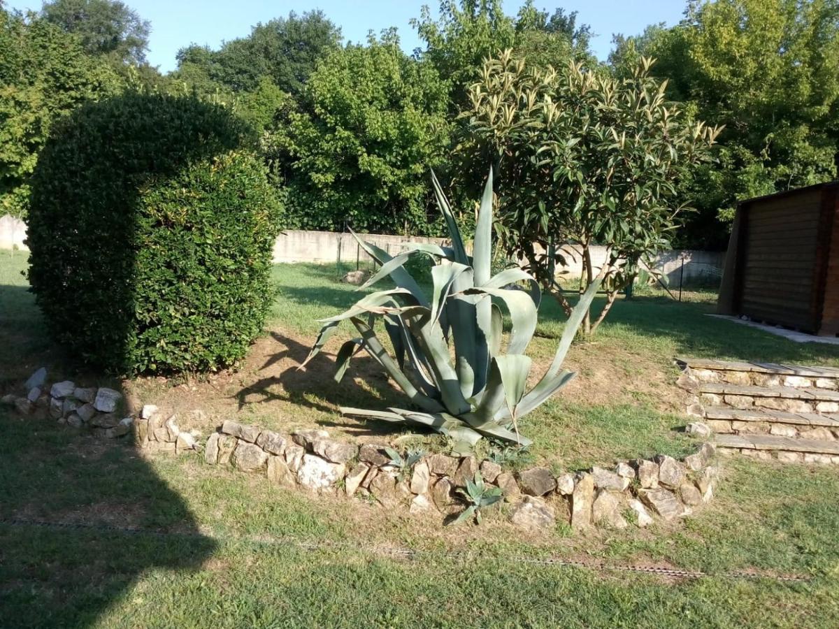 Greentuscany Forcoli Exterior foto